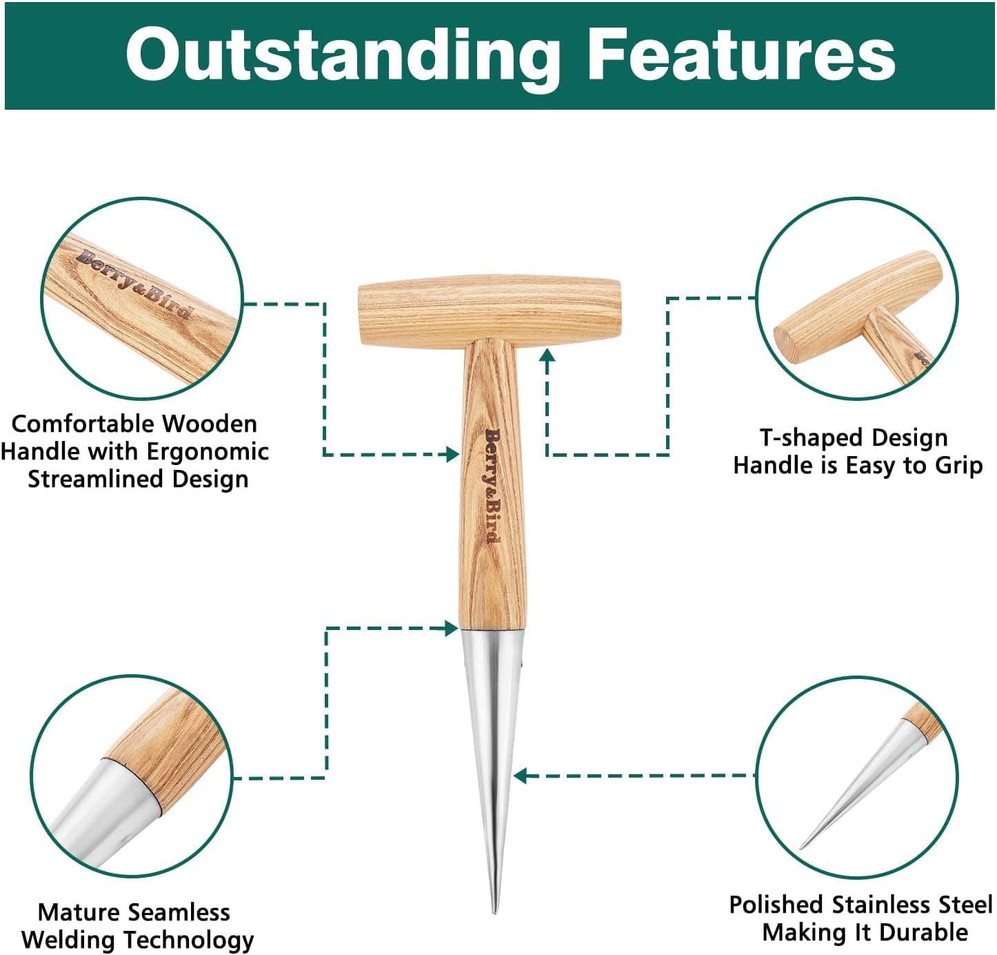 Berry&Bird Hand Dibber, Stainless Steel Sow Dibbler with Wood Handle, Garden Hole Punch Dibbler Tool for Planting Seeds & Bulbs, Hand Held Bulb Planter for Planting Flowers Tulips, Daffodils, Dahlias - Image 3