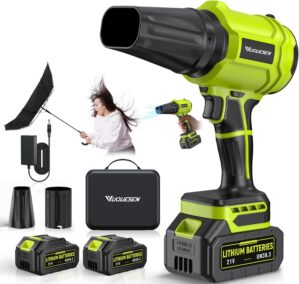 Cordless Leaf Blower, 980,000 RPM H...