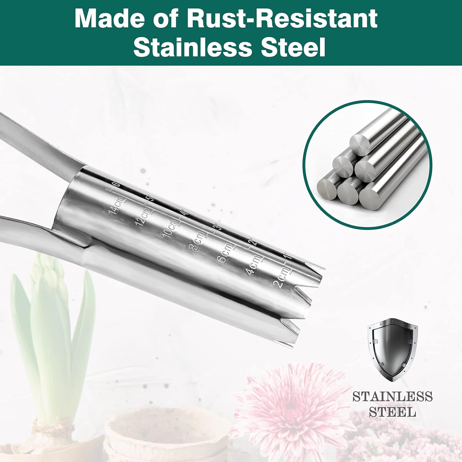 Berry&Bird Garden Bulb Planter with 6 inches Depth Mark, Garden Bulb Transplanter Tool with Wooden Handle, Stainless Steel Soil Release Tool for Transplanting Digging Planting Flowers - Image 7