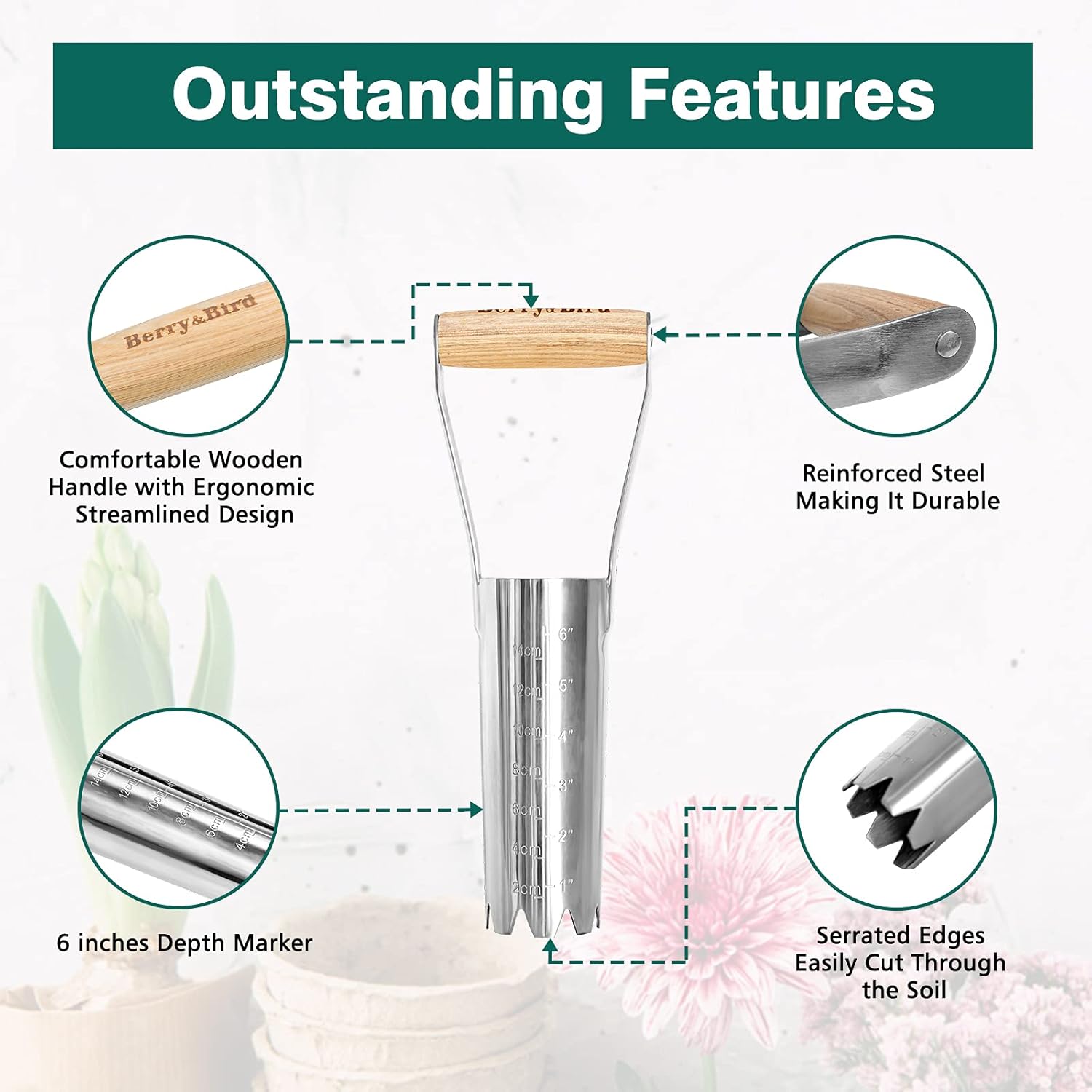 Berry&Bird Garden Bulb Planter with 6 inches Depth Mark, Garden Bulb Transplanter Tool with Wooden Handle, Stainless Steel Soil Release Tool for Transplanting Digging Planting Flowers - Image 4