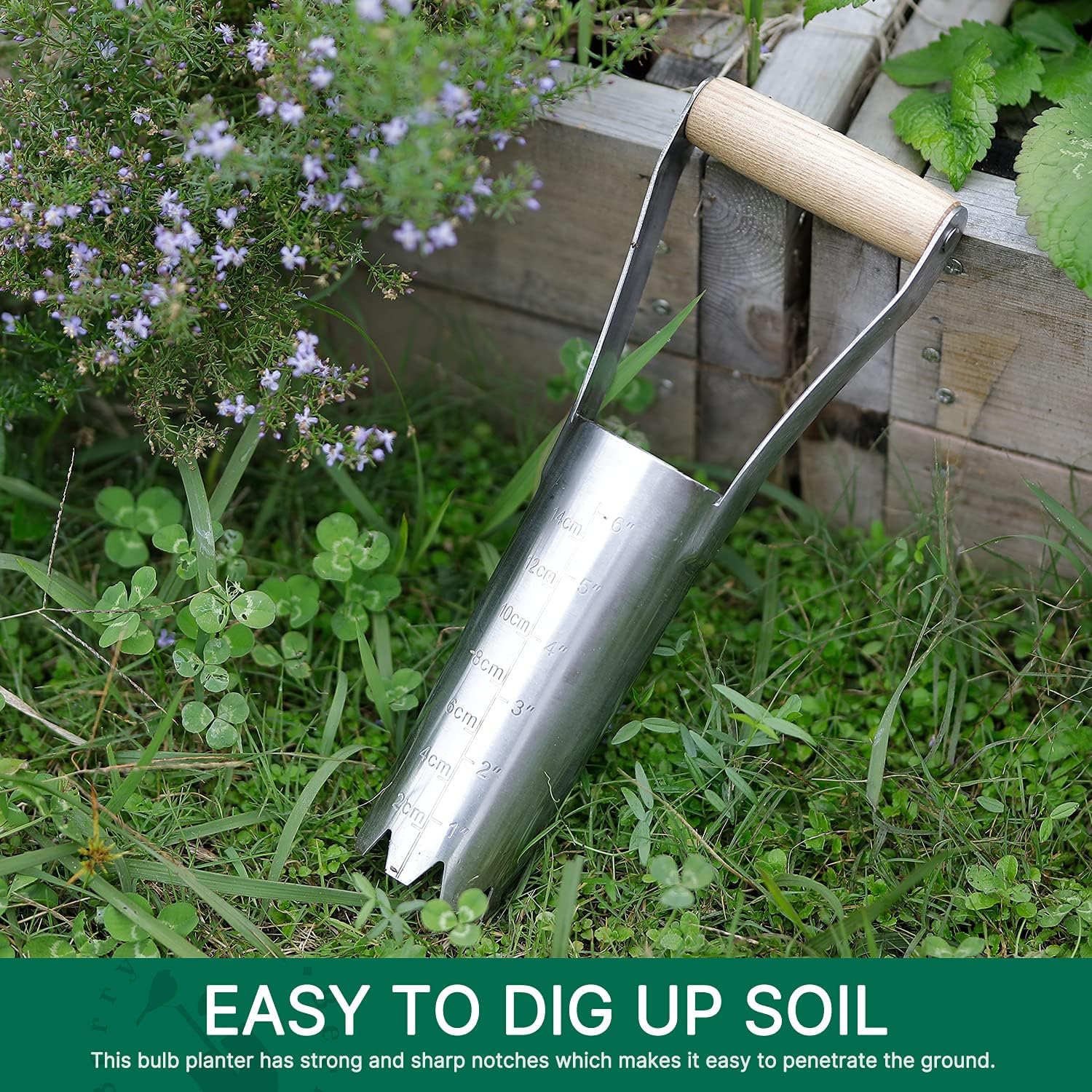 Berry&Bird Garden Bulb Planter with 6 inches Depth Mark, Garden Bulb Transplanter Tool with Wooden Handle, Stainless Steel Soil Release Tool for Transplanting Digging Planting Flowers - Image 9