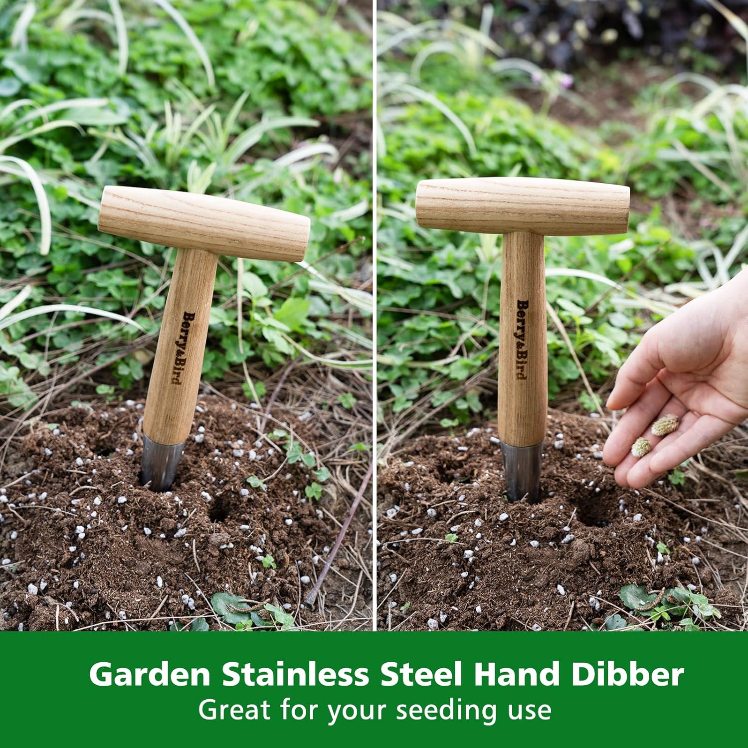 Berry&Bird Hand Dibber, Stainless Steel Sow Dibbler with Wood Handle, Garden Hole Punch Dibbler Tool for Planting Seeds & Bulbs, Hand Held Bulb Planter for Planting Flowers Tulips, Daffodils, Dahlias - Image 7