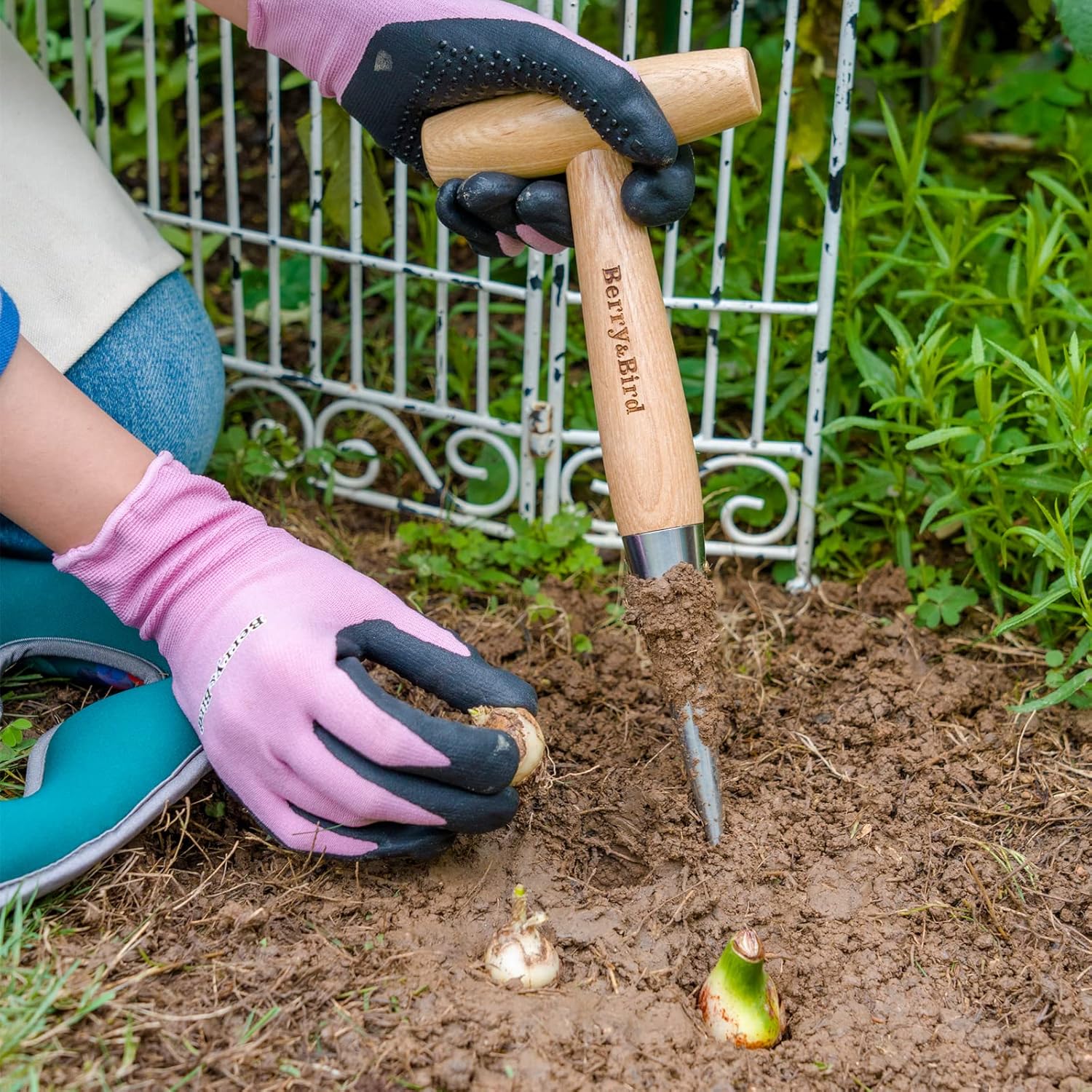 Berry&Bird Hand Dibber, Stainless Steel Sow Dibbler with Wood Handle, Garden Hole Punch Dibbler Tool for Planting Seeds & Bulbs, Hand Held Bulb Planter for Planting Flowers Tulips, Daffodils, Dahlias - Image 6