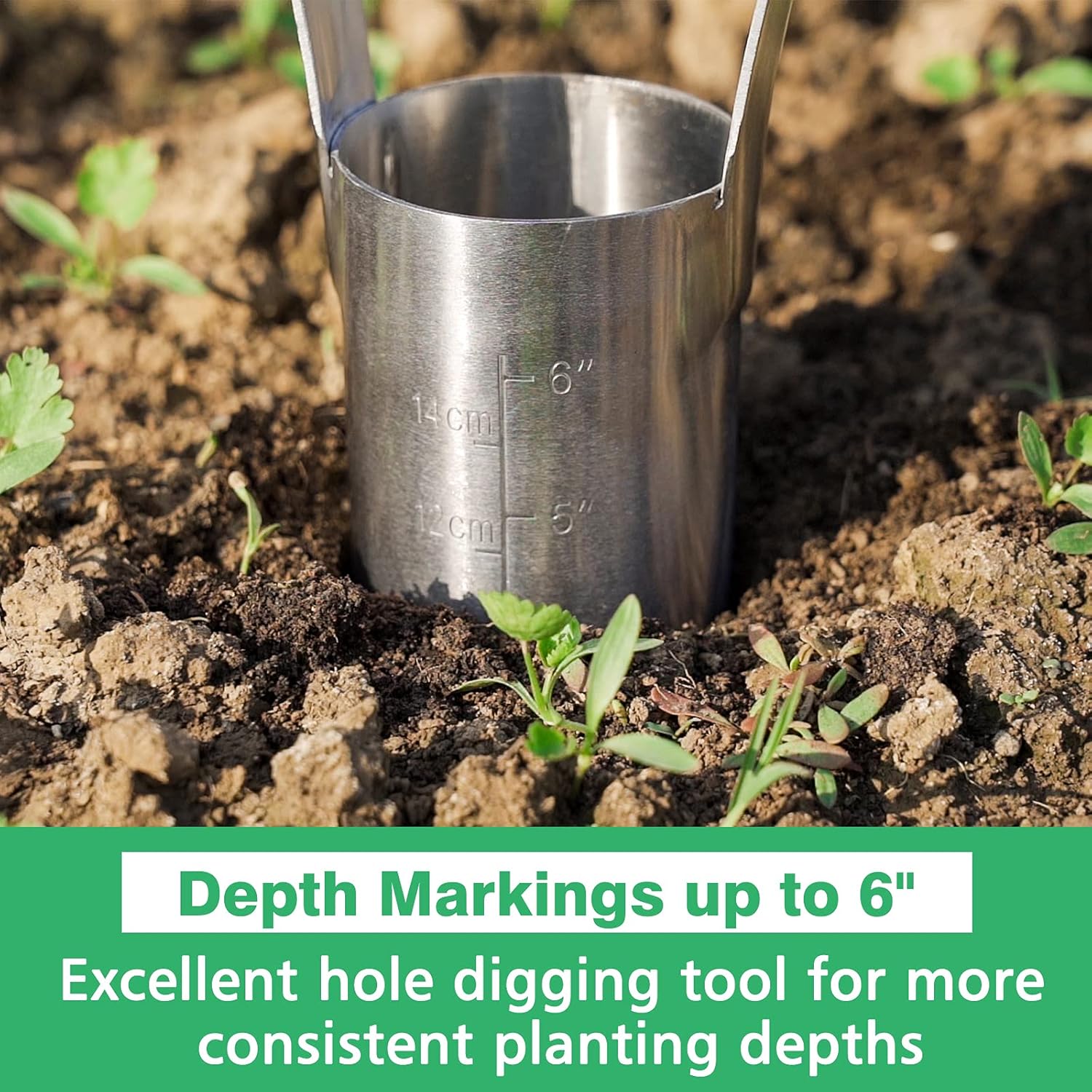 Berry&Bird Garden Bulb Planter with 6 inches Depth Mark, Garden Bulb Transplanter Tool with Wooden Handle, Stainless Steel Soil Release Tool for Transplanting Digging Planting Flowers - Image 3